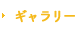 ギャラリー